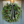 Load image into Gallery viewer, Cecily