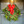 Load image into Gallery viewer, Christopher