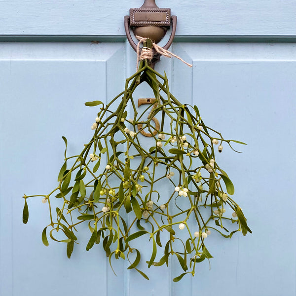 Mistletoe Kiss