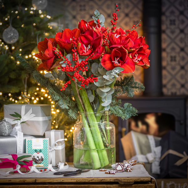 Yule - Delivery From 11/12